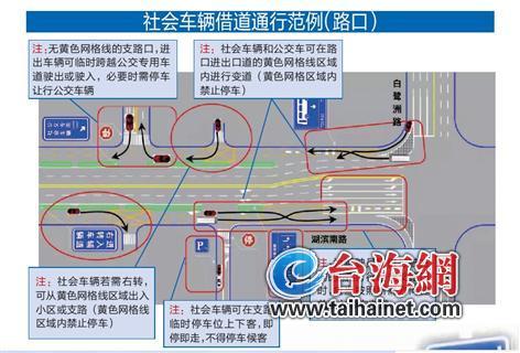 厦门公交专用道 2月1日起试运行